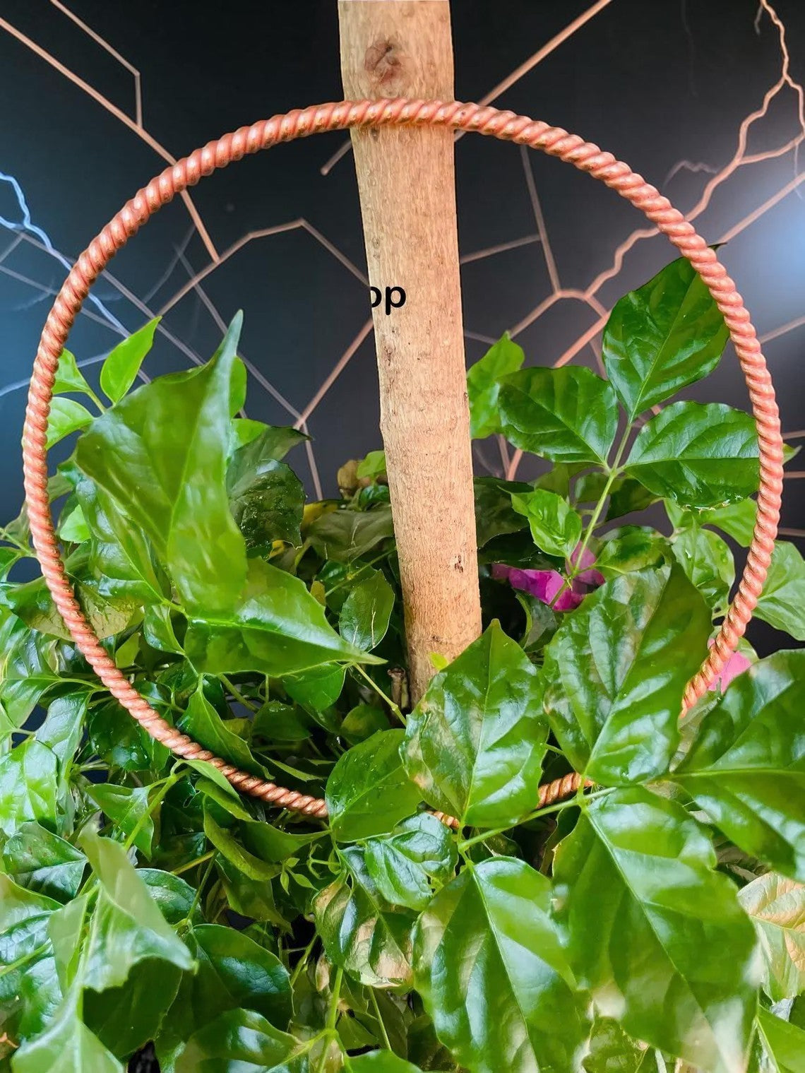Vòng hài hòa bằng đồng nguyên chất, dụng cụ năng lượng hình học thiêng liêng, thủ công tinh xảo, màu đồng sáng bóng, dùng để thiền định và không gian thiêng liêng.